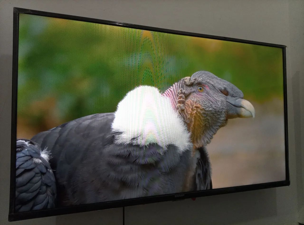VENDO TV 43 POLEGADAS SMART  - Foto 5
