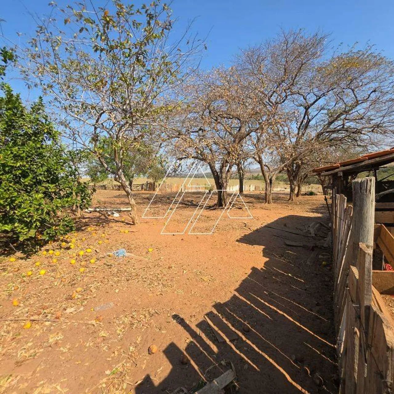 Chácara à venda, Centro - Marília/SP - Foto 2
