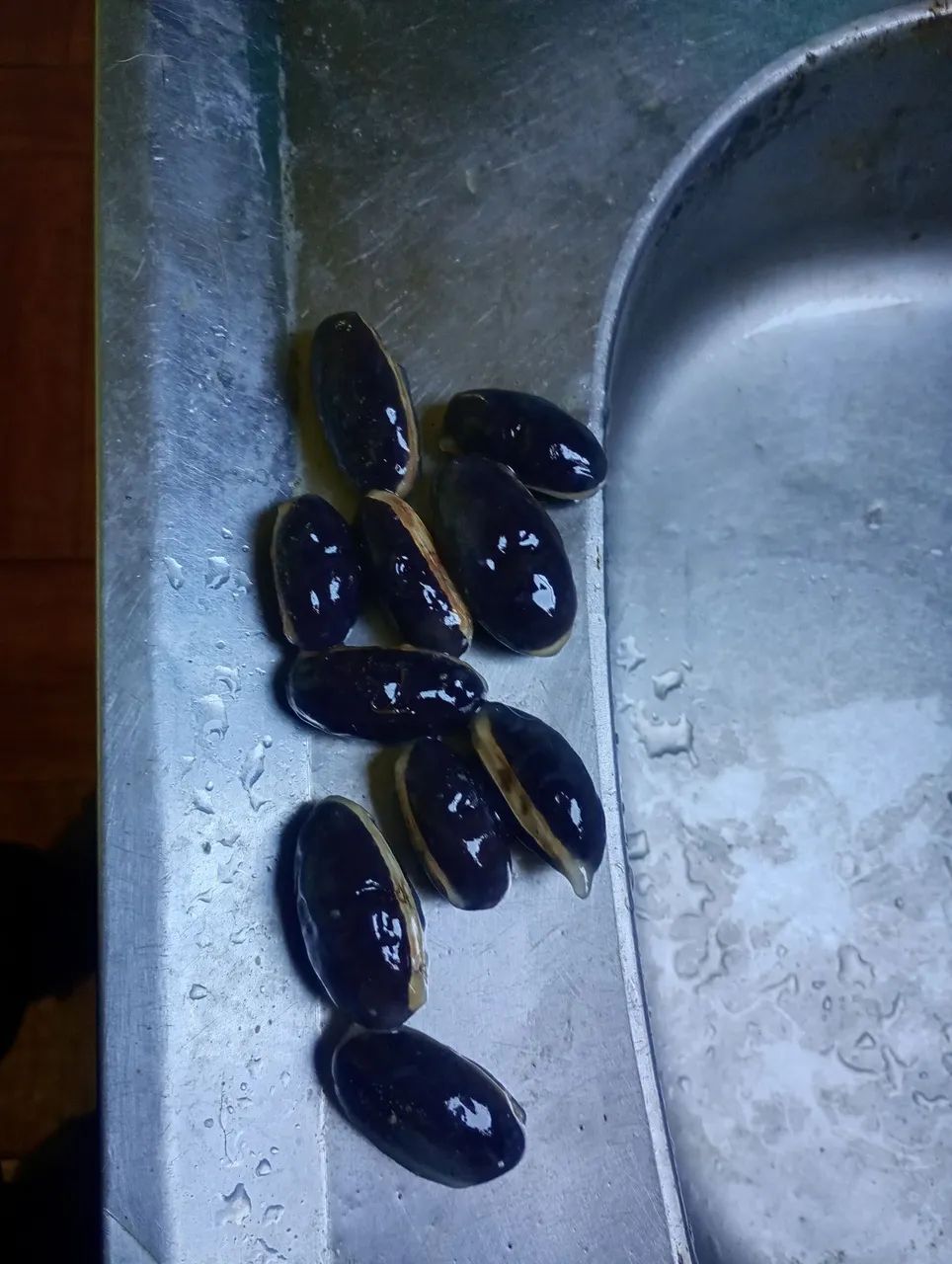 Sementes de Abiu  - Foto 4