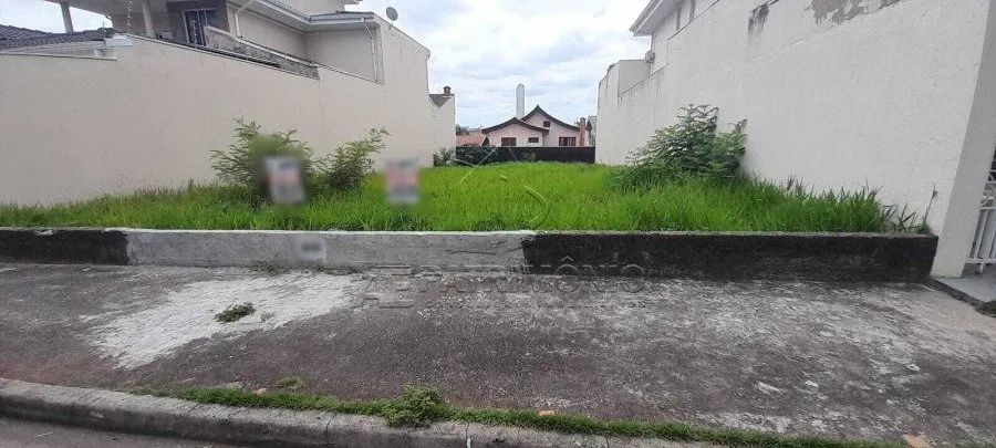 TERRENO CAMPOLIM - Foto 3