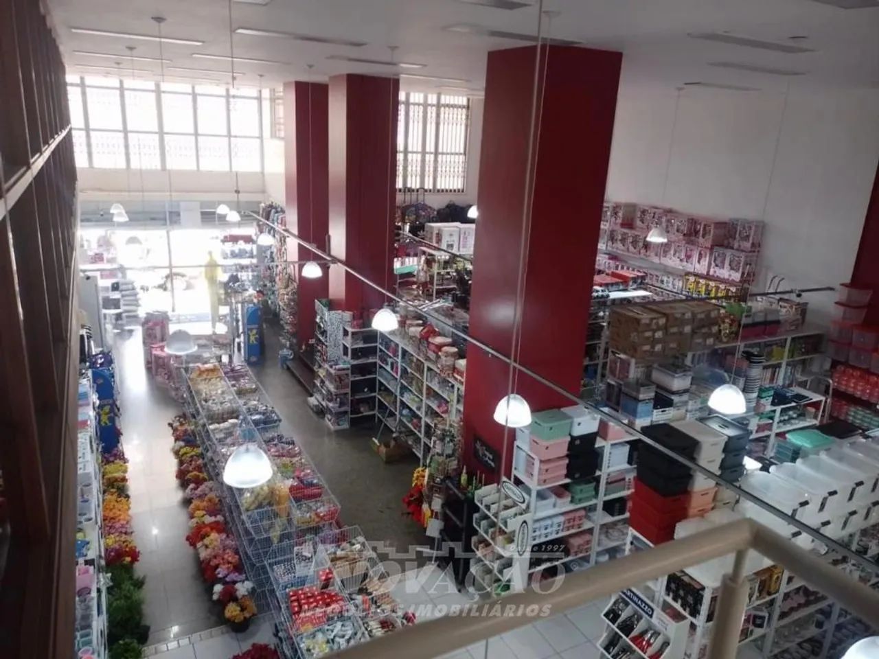 Sala Térrea / Loja comercial Pio X Caxias do Sul - Foto 5