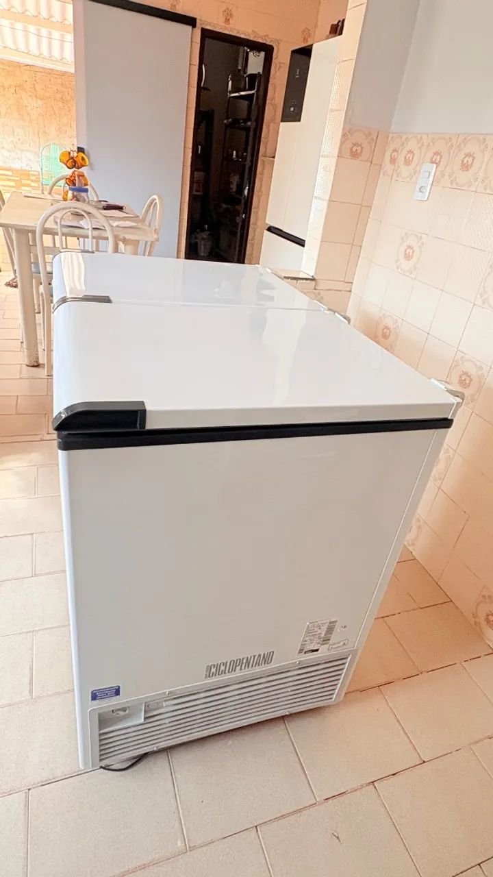 Freezer Horizontal 303L - Foto 5