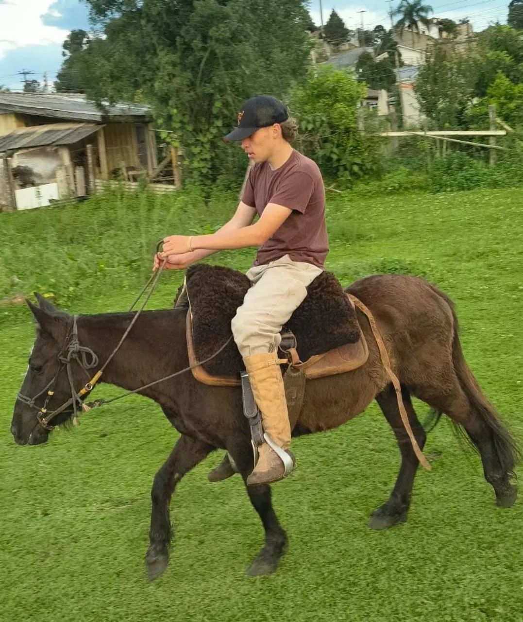 Pitiço  - Foto 3