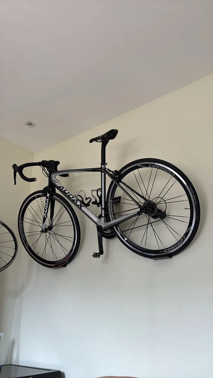 Speed Audax ventux shimano 105