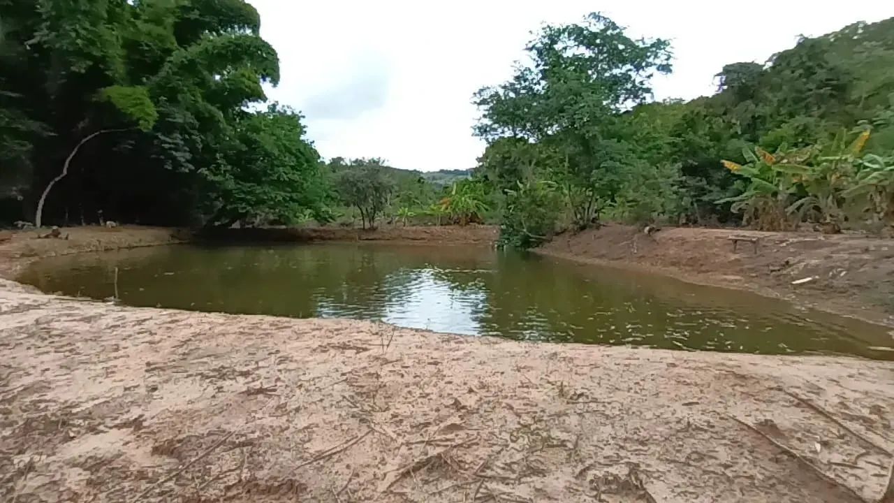 Fazenda/Sítio/Chácara para venda possui 170 metros quadrados com 3 quartos - Foto 5