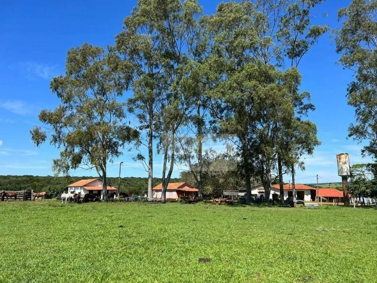 Fazenda à Venda  118 Alqueires  Batayporã/MS - Foto 3