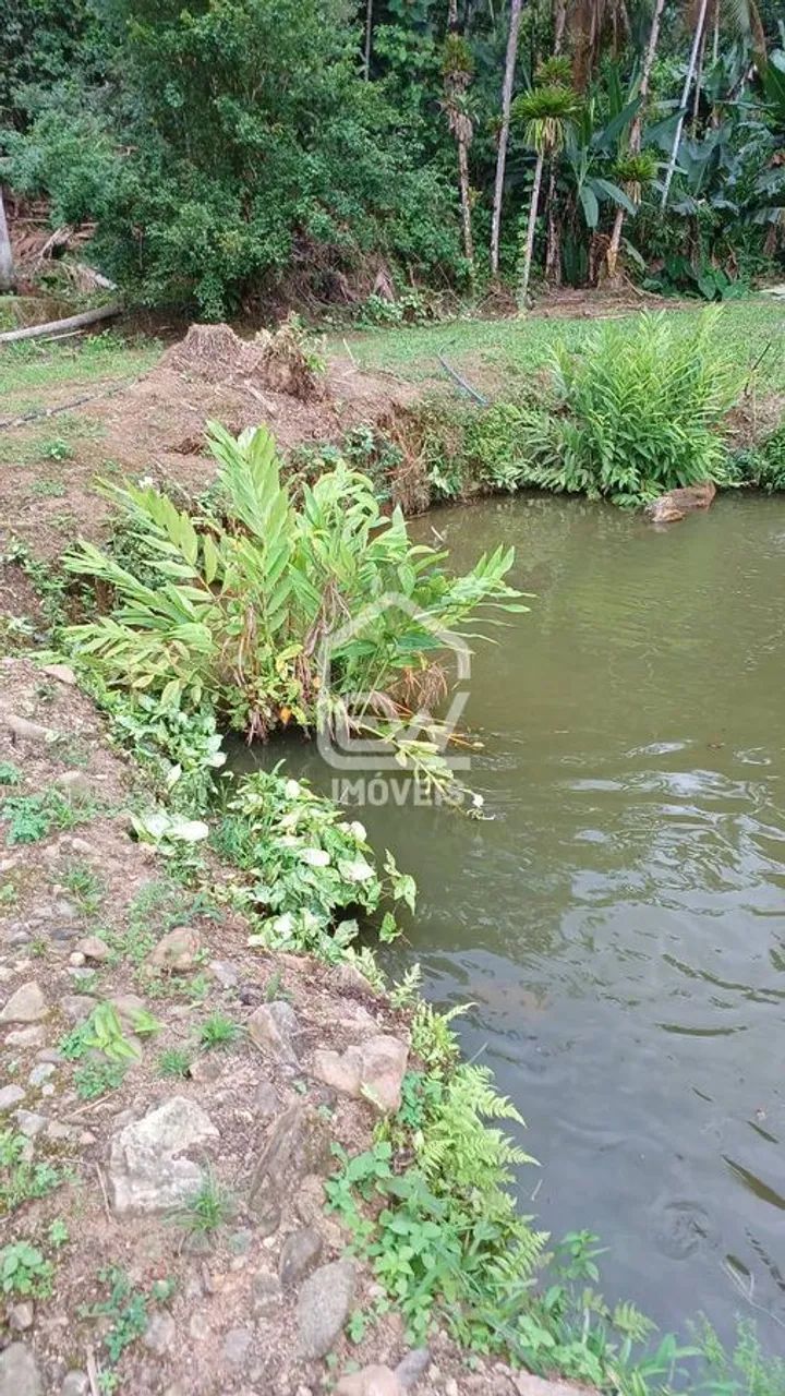 Chácara com Área Total de 16.118m² em Schroeder, SC - Foto 5