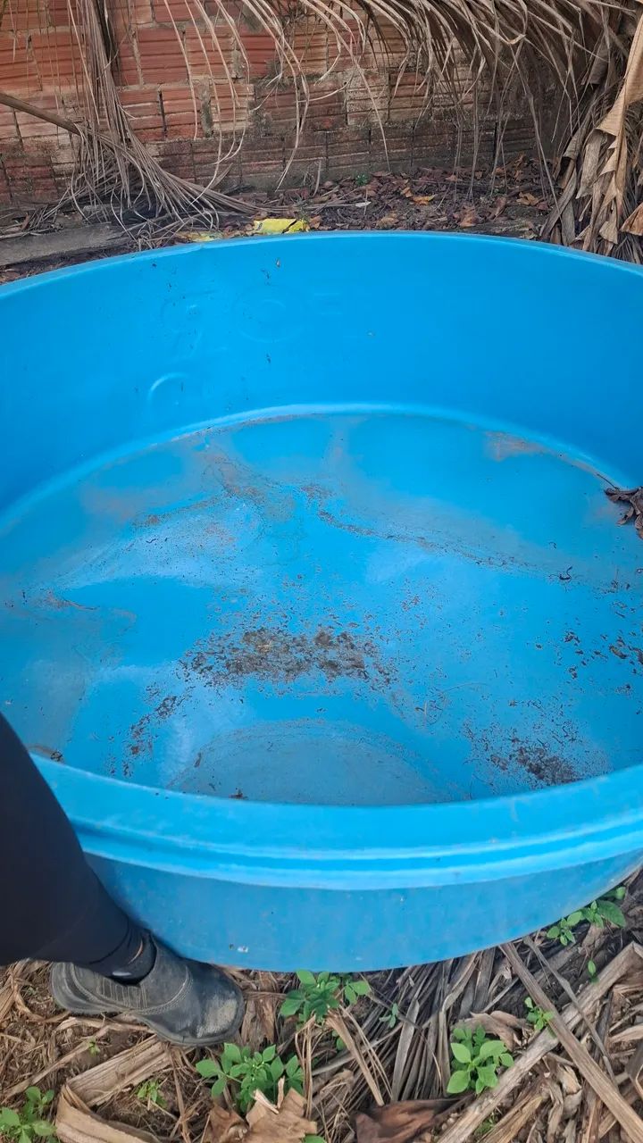 Piscina polietileno - Foto 2