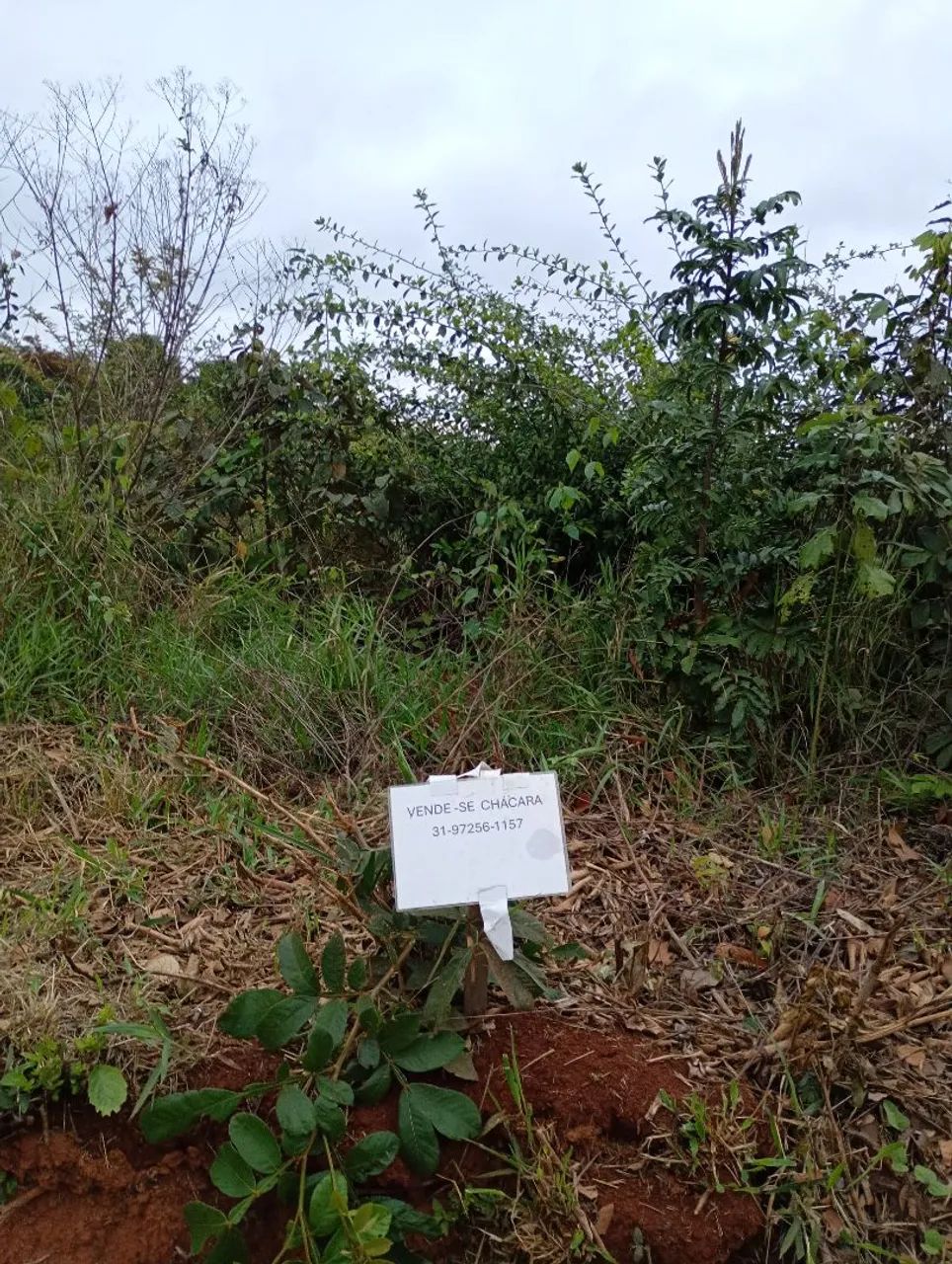 Chacreamento água boa  - Foto 2