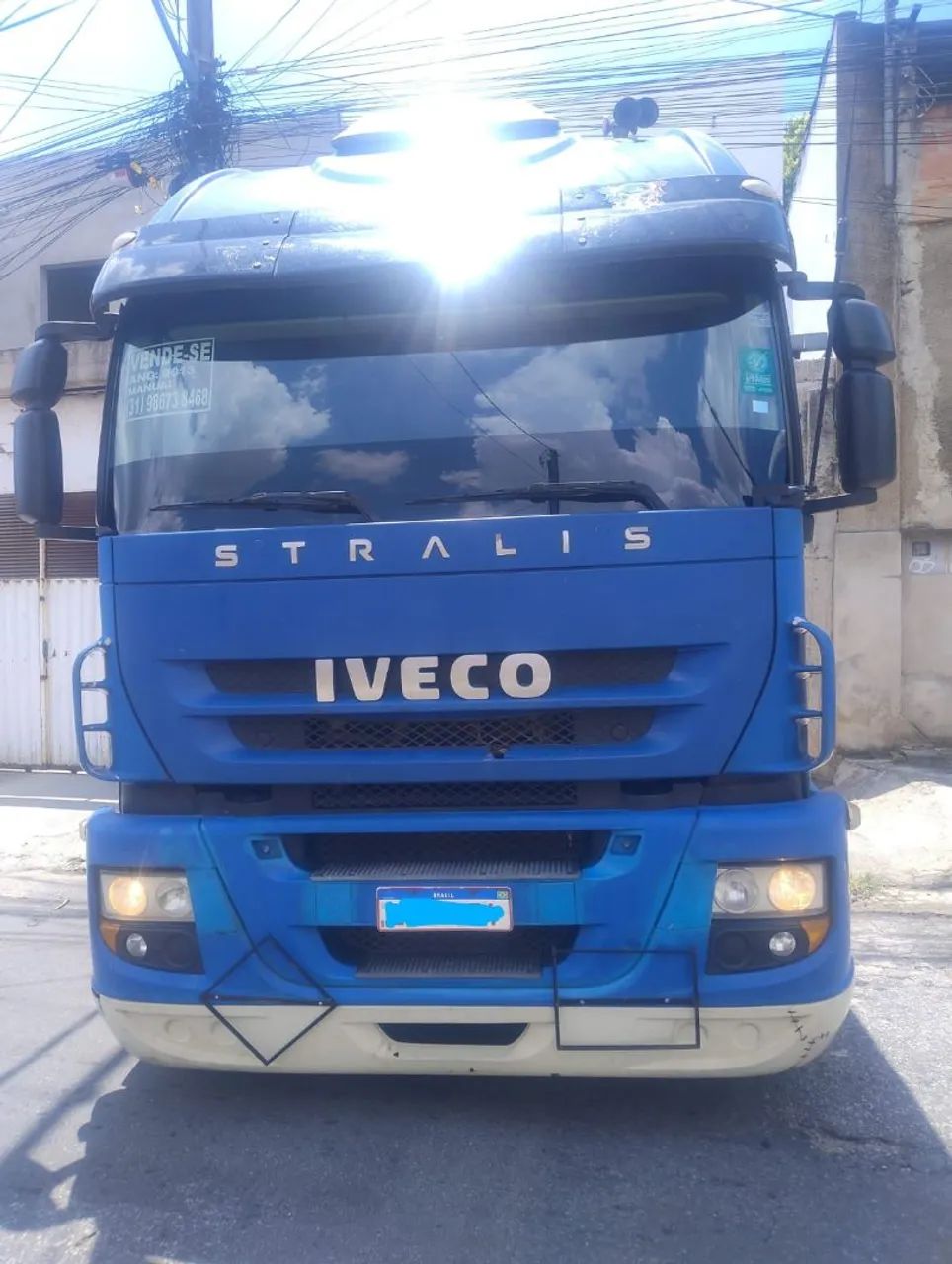 Cavalo toco  - Foto 2