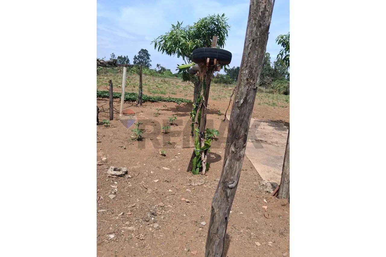 Chácara Produtiva à Venda em Uberaba, MG! - Foto 5