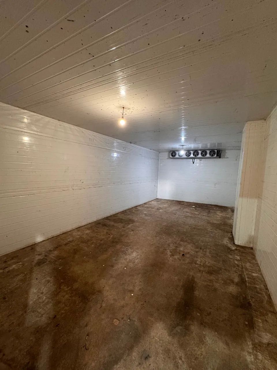 Alugo Galpão Frigorífico/ Flores / 250 m2  - Foto 2