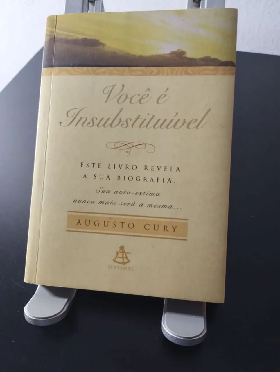 Livro Você é insubstituível