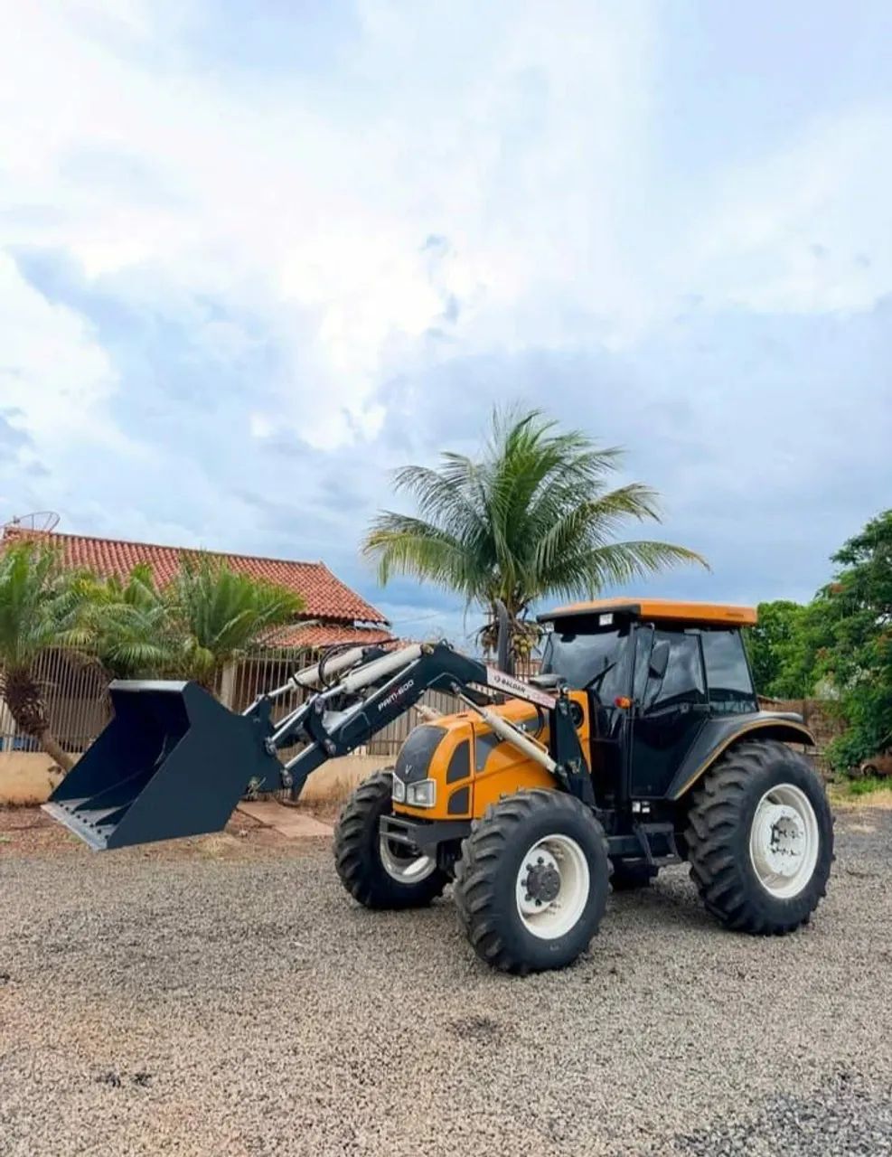 O companheiro fiel da lavoura - Foto 8