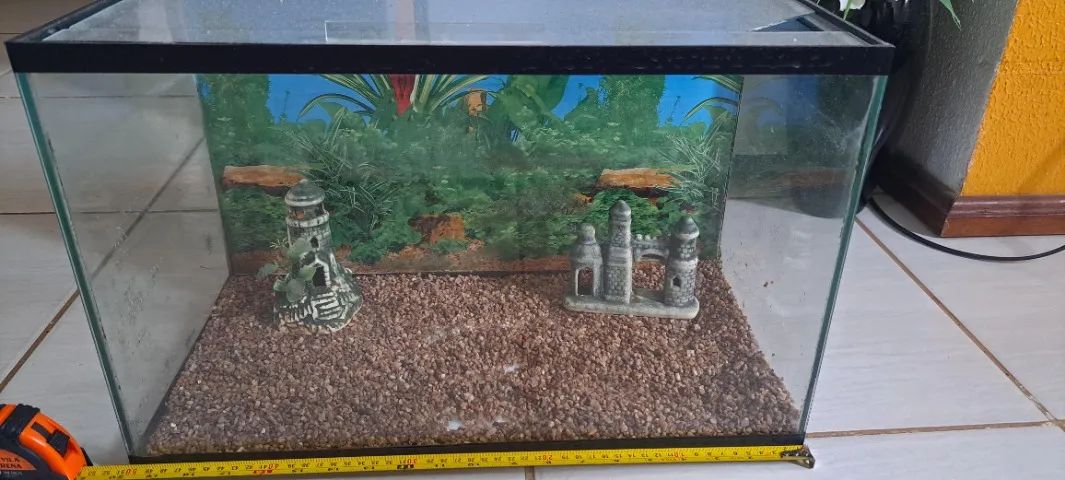 AQUÁRIO DE VIDRO 50 CENTÍMETROS  - Foto 2