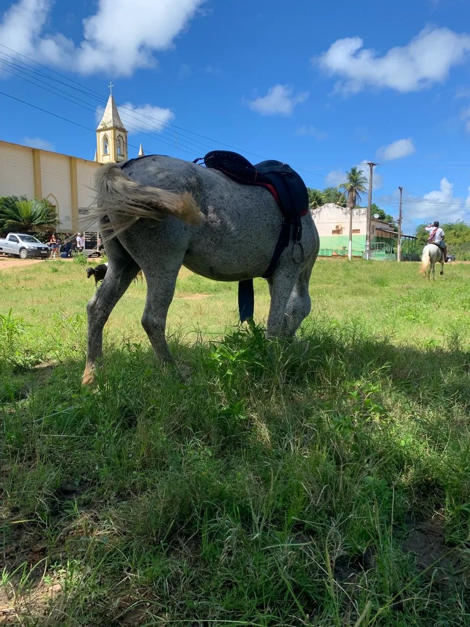 Uma égua de passada vai completa com sela e tudo - Foto 2