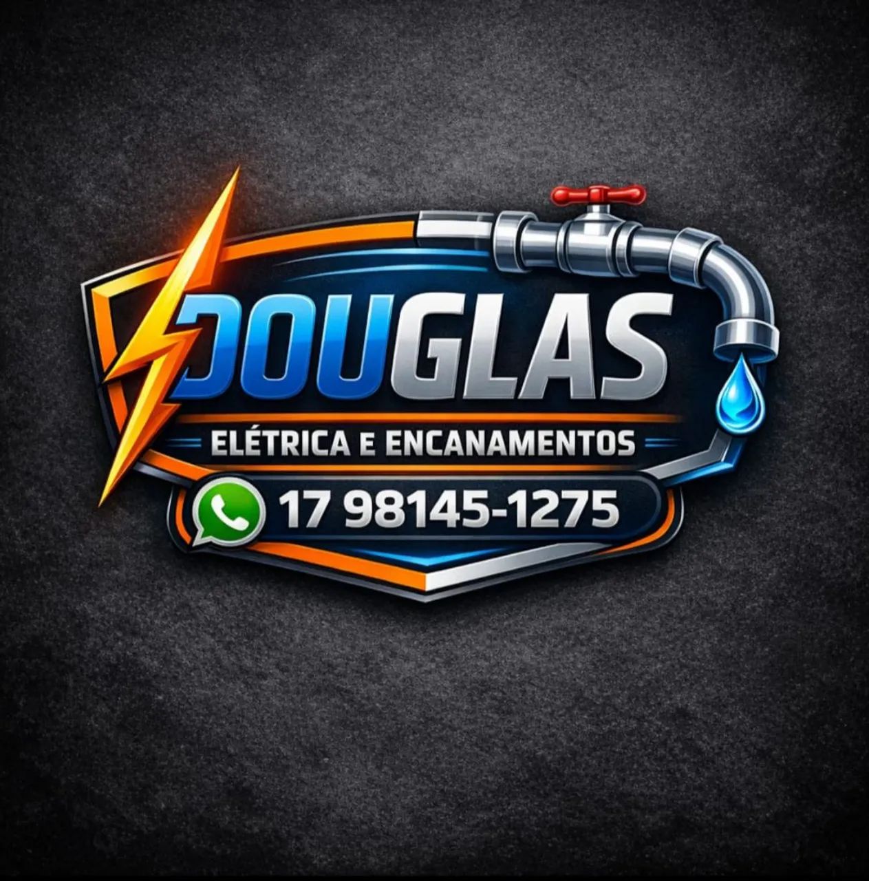 Eletricista e Encanador, Profissional Especializado. 