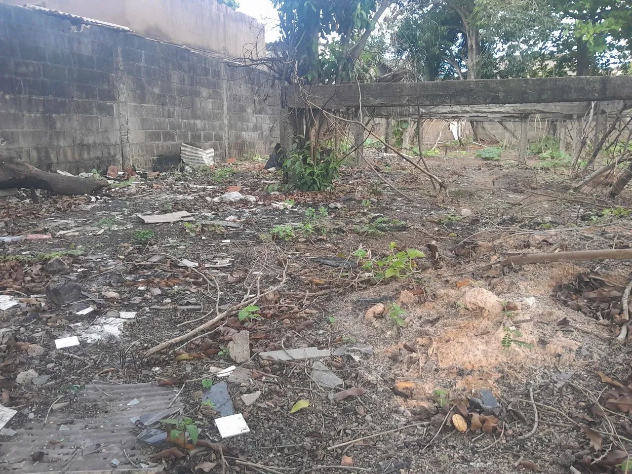 Terreno em São Conrado V.V. - Foto 2