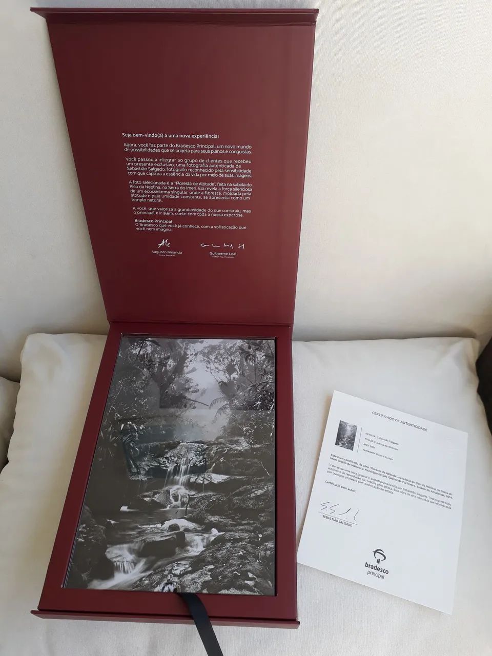 Foto Sebastião Salgado Floresta de Altitude com certificado - Foto 4