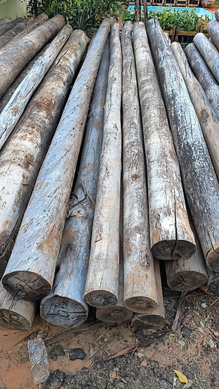 Postes madeira de eucalipto  - Foto 4