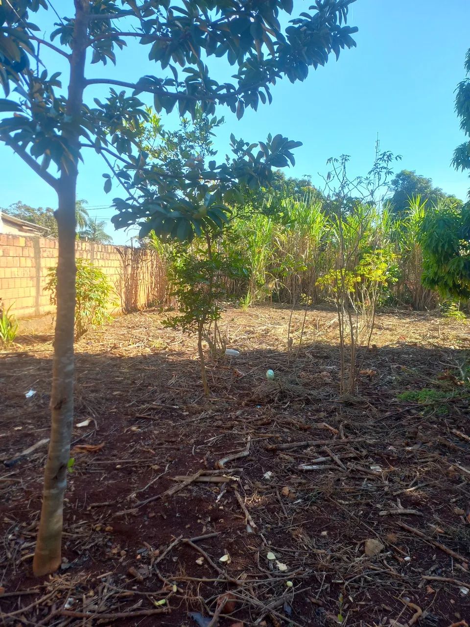 Lote barato  - Foto 4