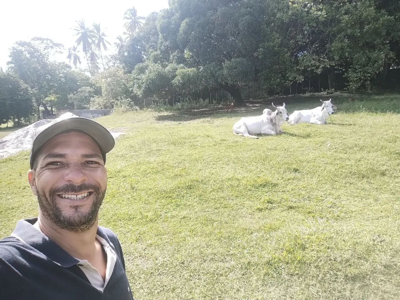 Caseiro disponível  - Foto 4