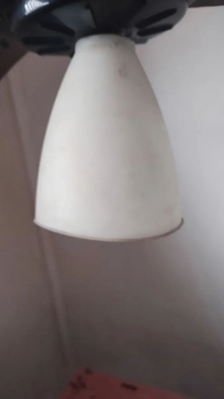 Ventilador de teto 