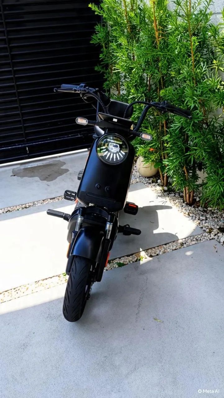 Moto elétrica Panda J10 - Foto 3