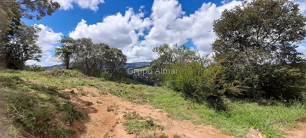 Lote / Terreno - Girassol - Foto 4