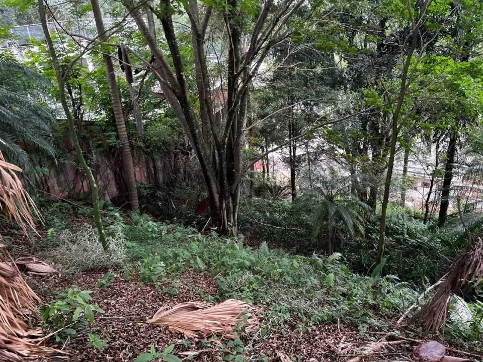 Terreno em Condomínio para Venda em Barueri, Residencial Tamboré - Foto 2