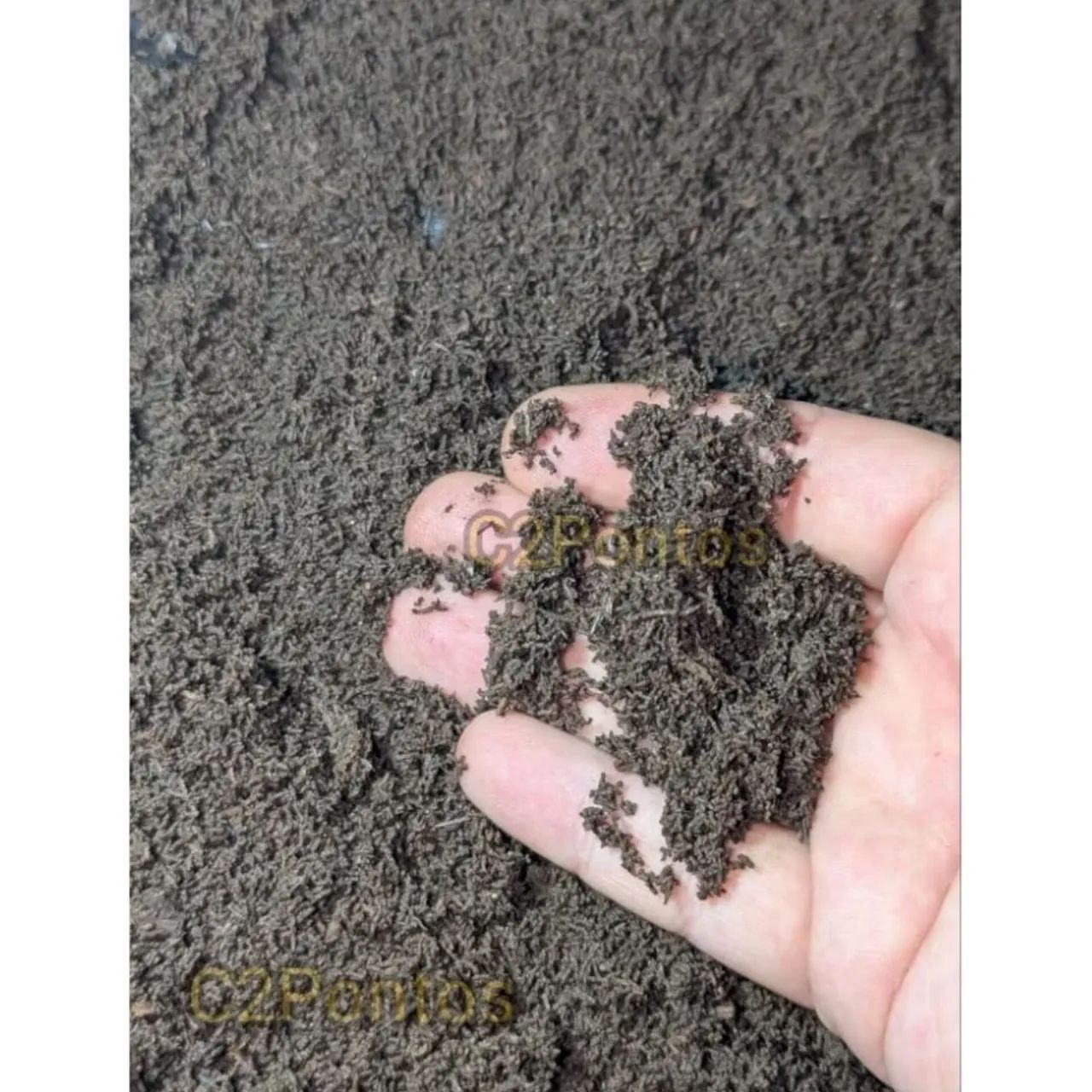 1Kg - Húmus de Minhoca 100% Puro - Adubo Orgânico Natural Plantas, Horta, Jardim e Vasos - Foto 2