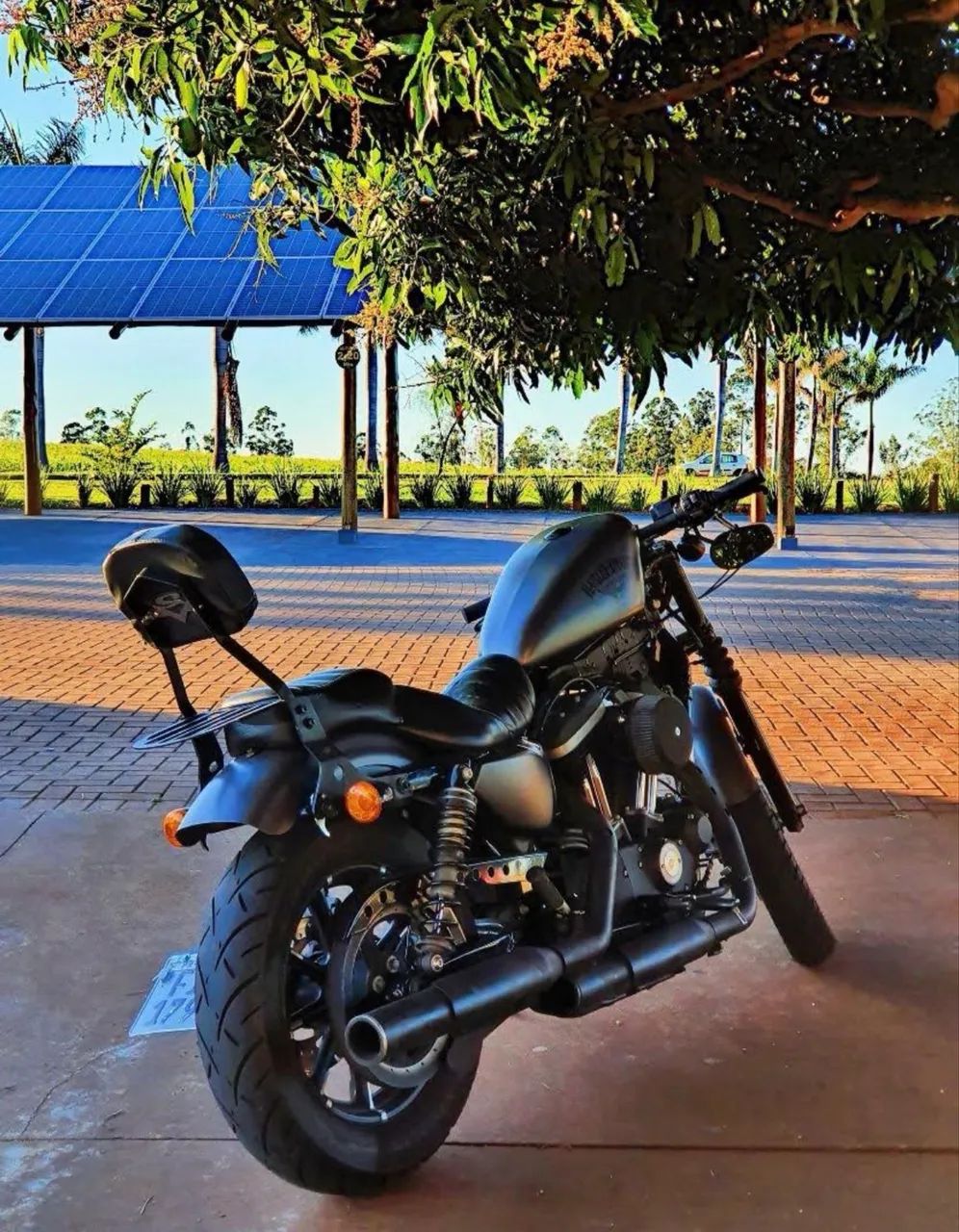 Harley-Davidson Iron 883 - Foto 5