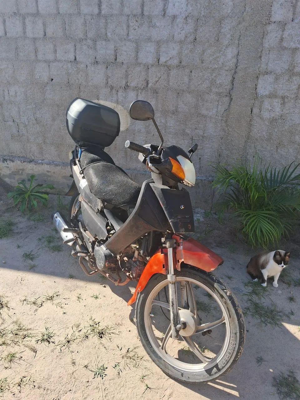 MOTO SHINERAY PHOENIX 50CC - Foto 3