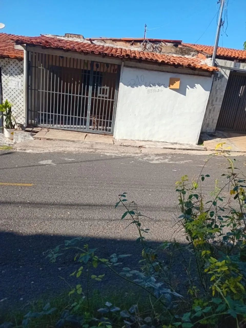 Iracema  - Foto 2