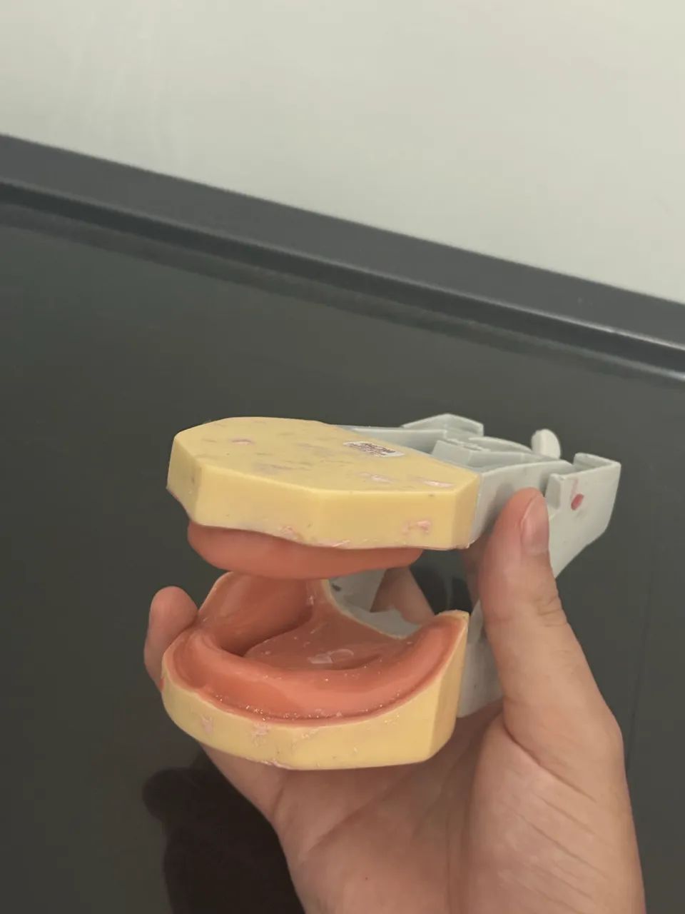 Manequim odontologia  - Foto 4