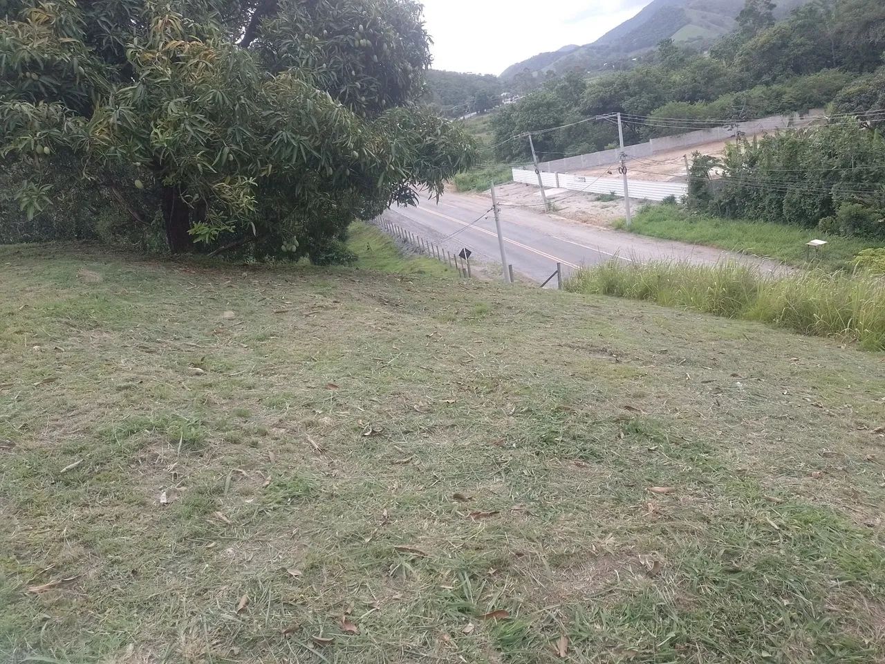 Serviços cm roçadeira  - Foto 4