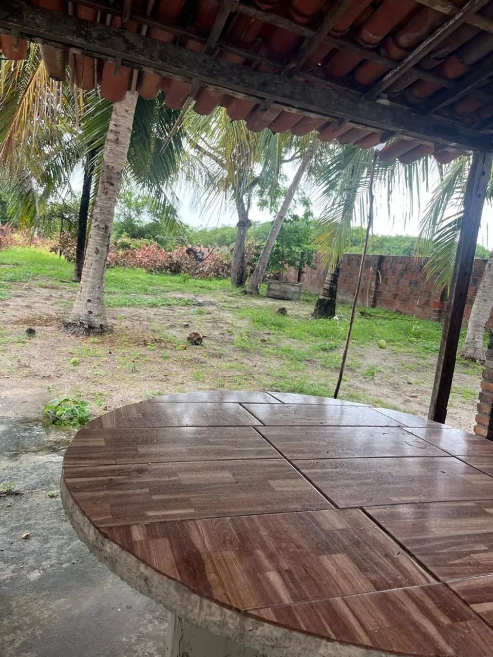 VENDO OU ALUGO MINI SÍTIO EM BEBERIBE - Foto 4