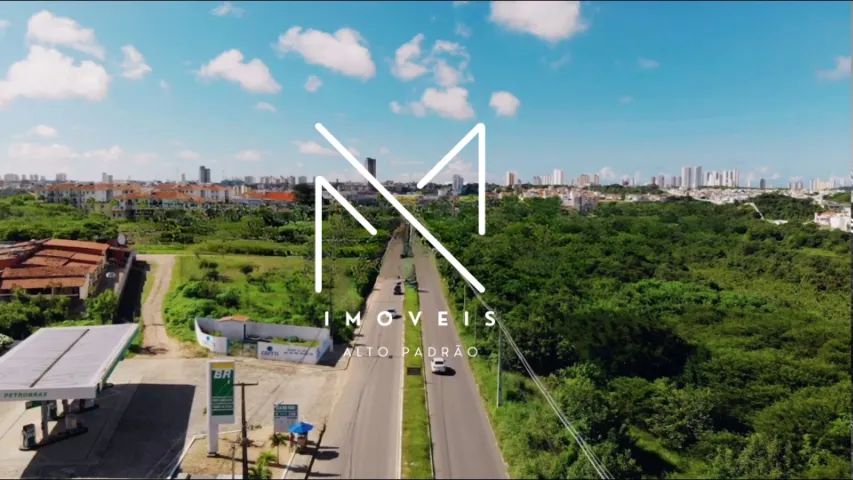 LOTES COMERCIAIS NA AVENIDA OLAVO MONTENEGRO - Foto 4