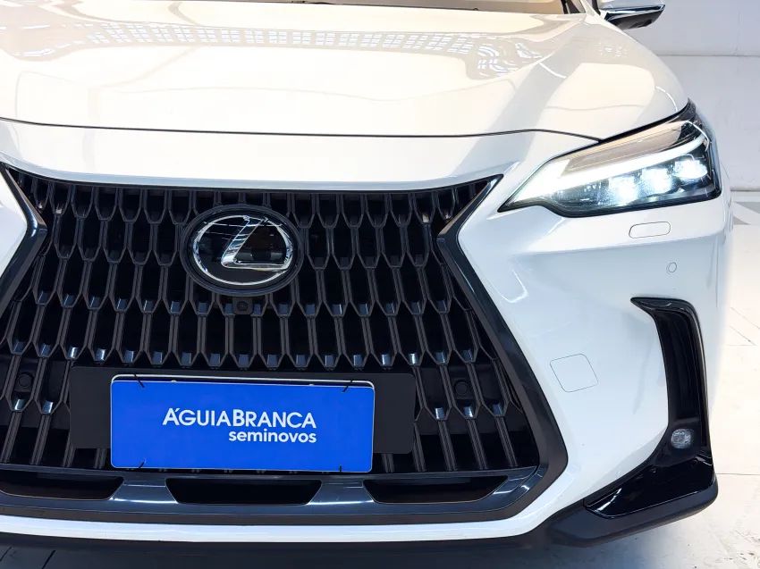 Lexus NX-350h Luxury 2.5 16V Aut. (hybrid), foto 4 de 19