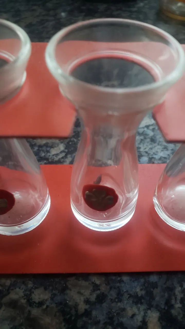 Copos de shot - Foto 4