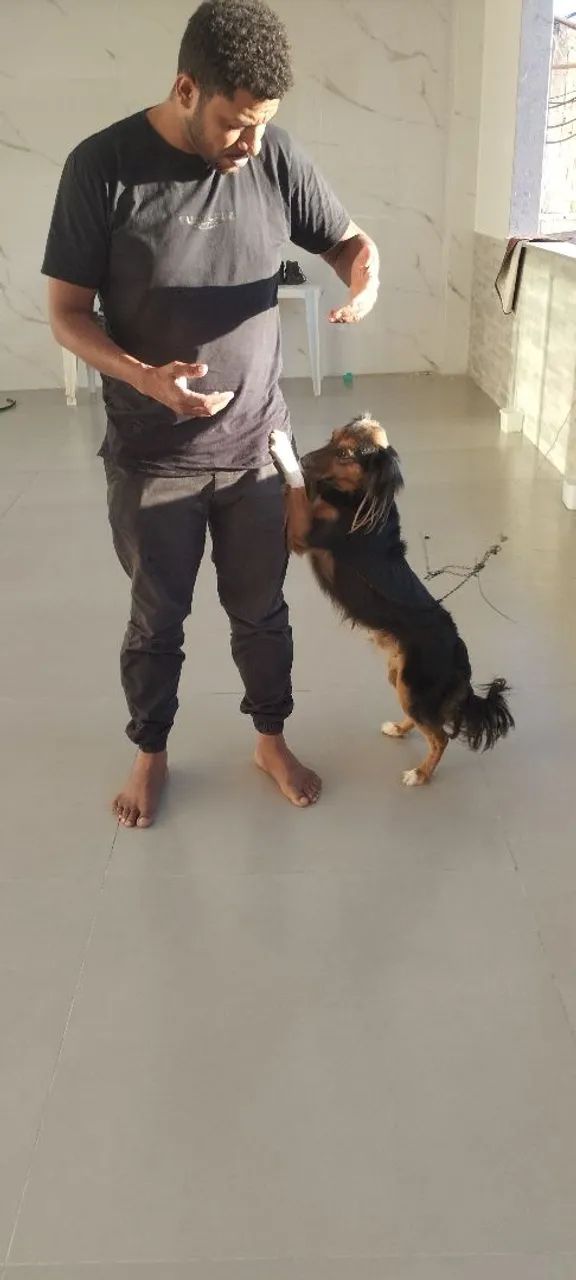 Doação de Cachorro Macho  - Foto 3