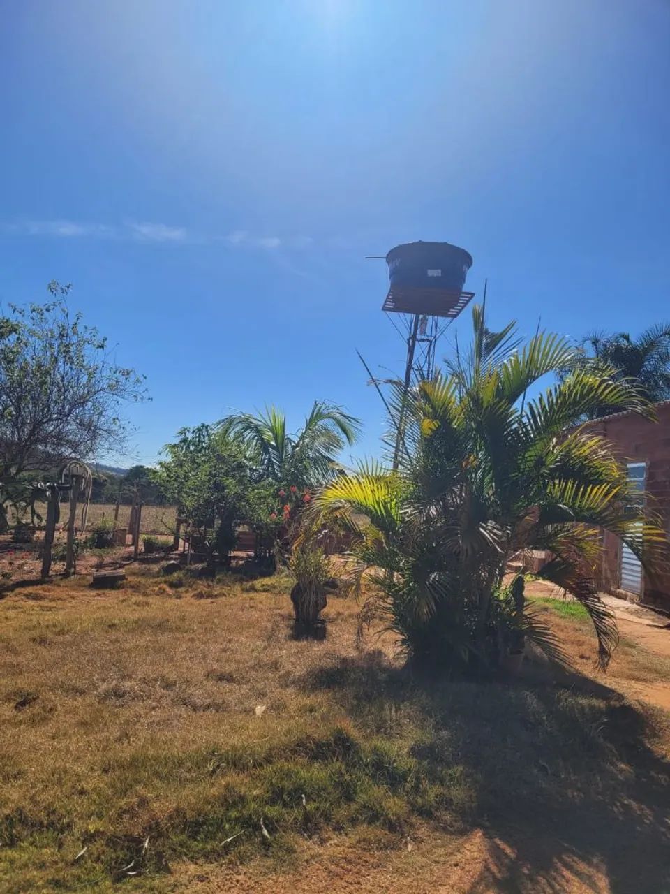 OPORTUNIDADE! CHÁCARA Á VENDA ENTRE NOVA VENEZA E NERÓPOLIS - Foto 4
