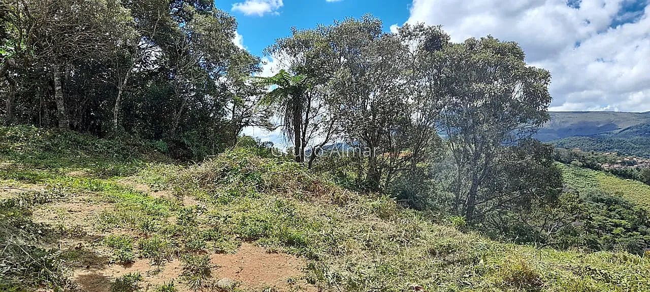 Lote / Terreno - Girassol - Foto 5