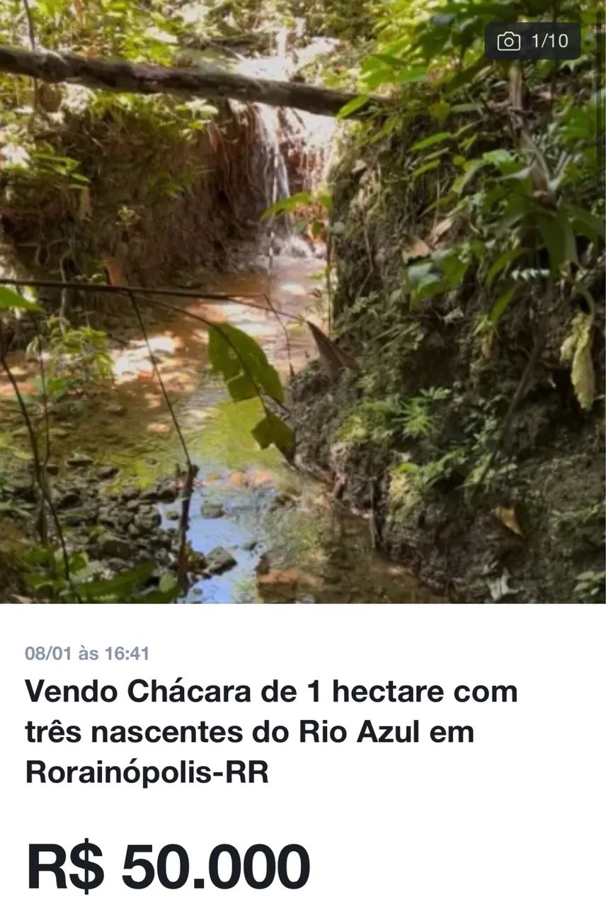 Vendo Chácara de 1 hectare com 3 nascentes próxima ao Clube do Magnata - Foto 4