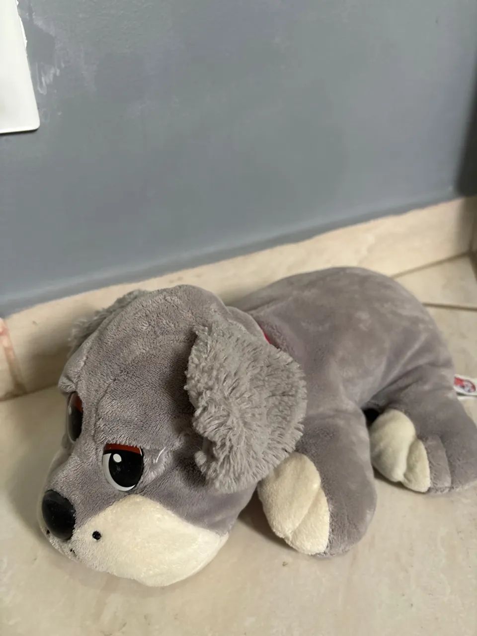 Cachorrinho carente