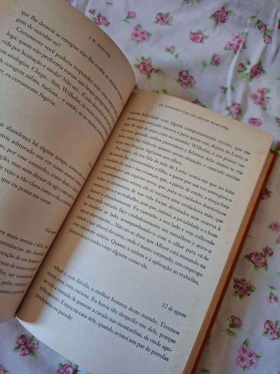Livro Os Sofrimentos Do Jovem Werther - Foto 3