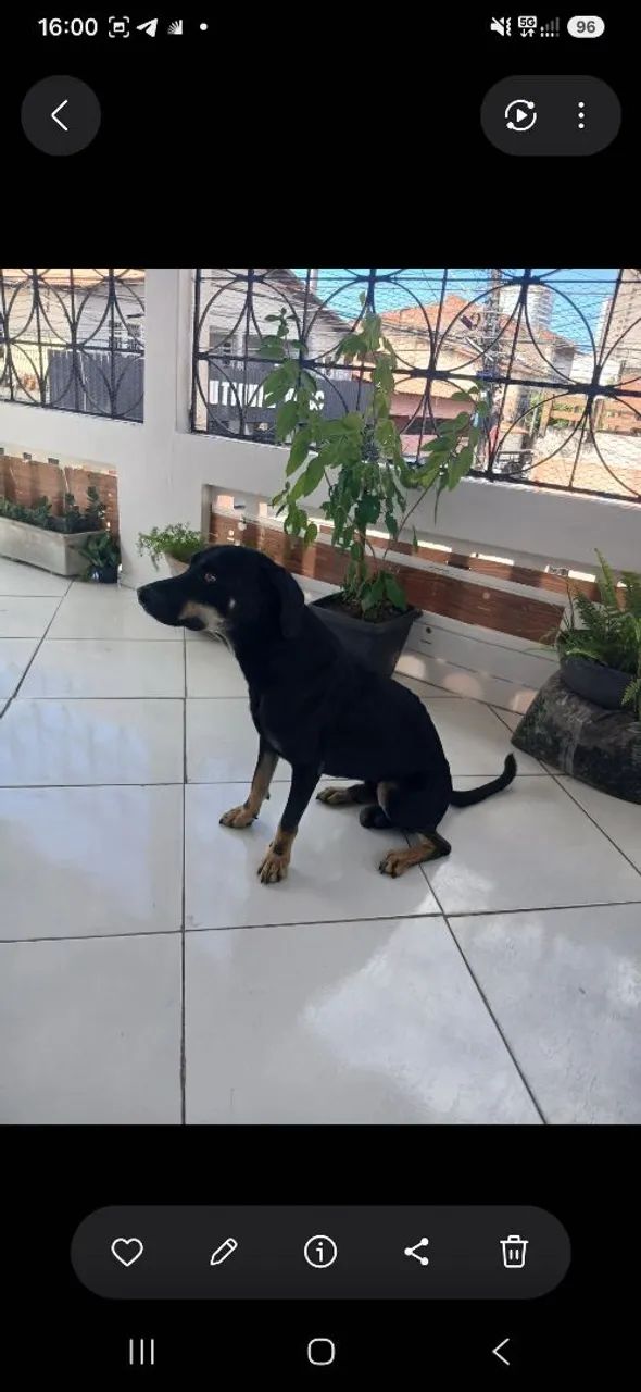 Doação.  - Foto 2