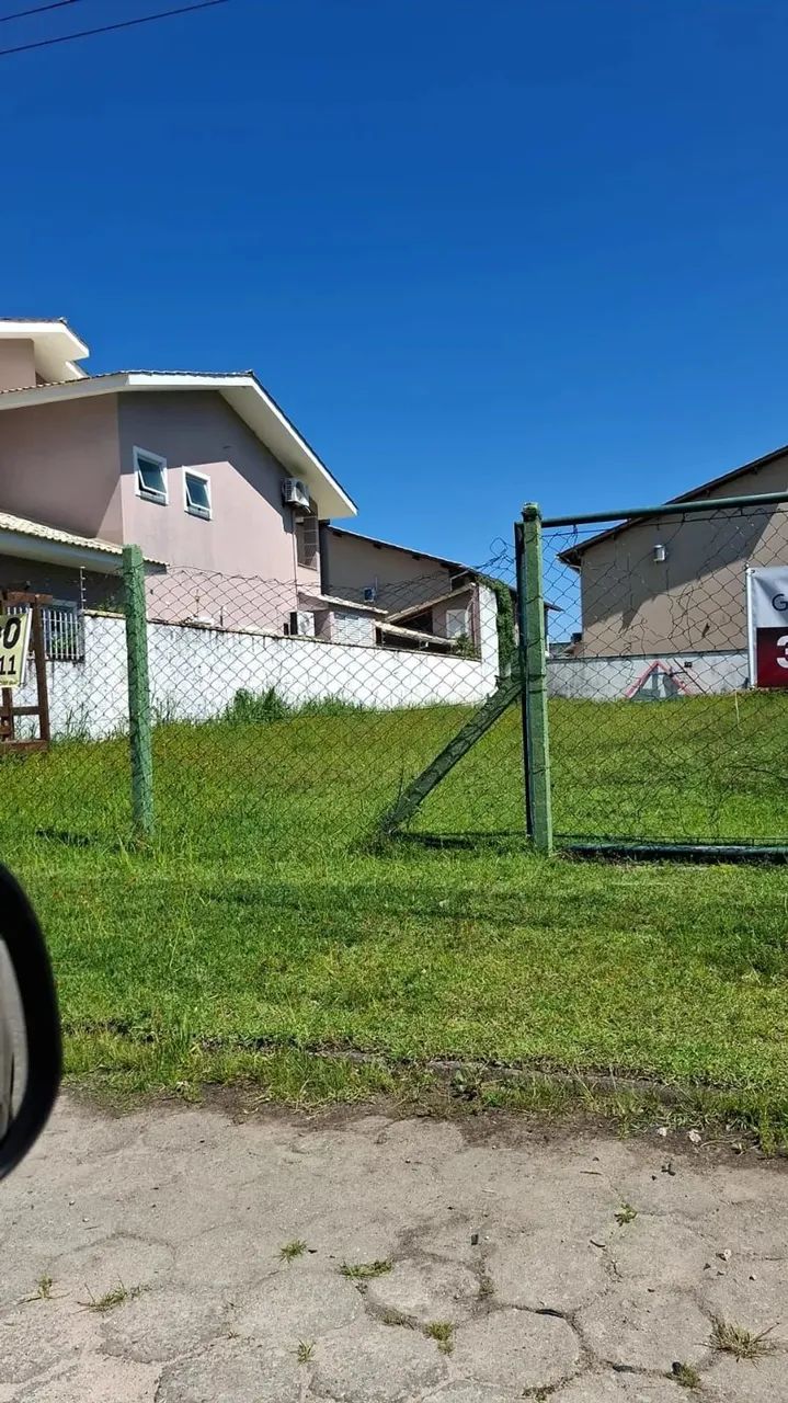 Terreno no Ribeirão da Ilha - Foto 5