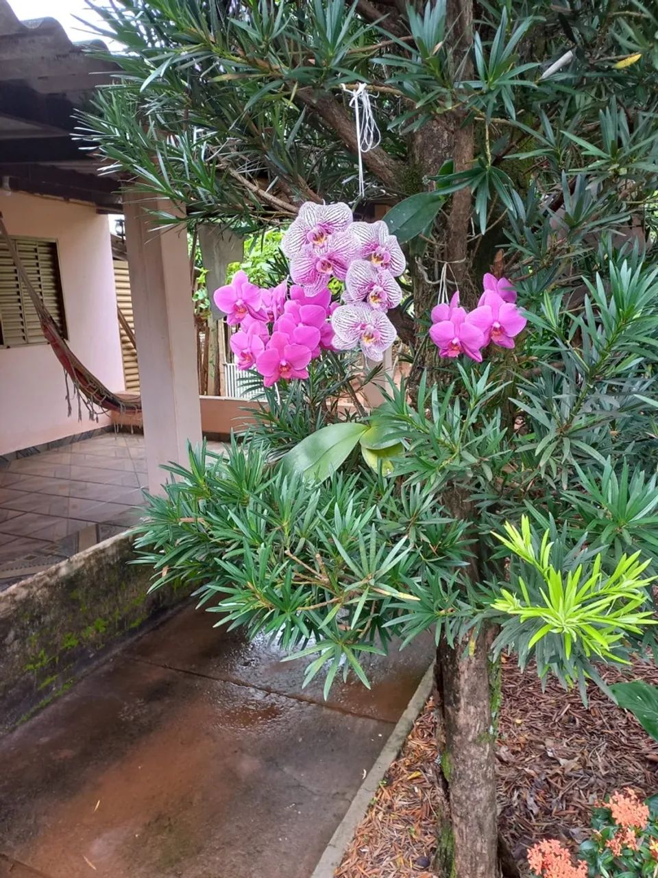 Casa no distrito de Martinesia - Foto 5