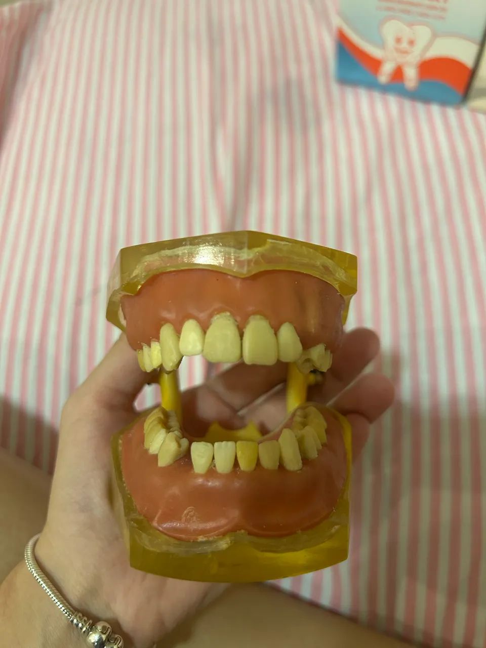 2 Manequins Odontológicos - Excelente Estado - Foto 2
